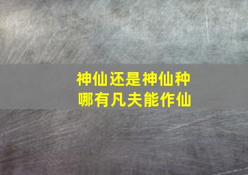 神仙还是神仙种 哪有凡夫能作仙